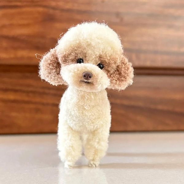 秦迪属什么生肖属相