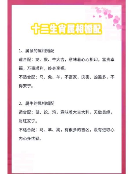 生肖属相最佳婚配（生肖属相最佳婚配指南新手版）