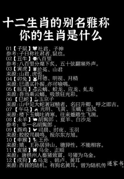 蛇属相后面是什么生肖