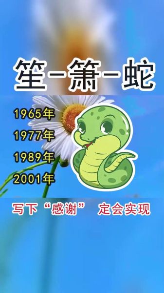 蛇属相后面是什么生肖