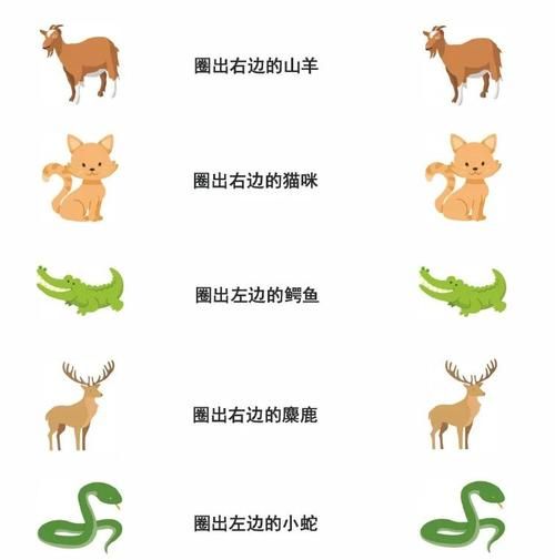 雪属相是什么生肖（雪属相对应哪个生肖🤔❄️）