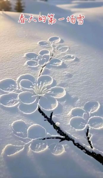 雪属相是什么生肖（雪属相对应哪个生肖🤔❄️）