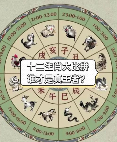 生肖属相真实吗图片大全（生肖属相真实吗？小白入门真相图）