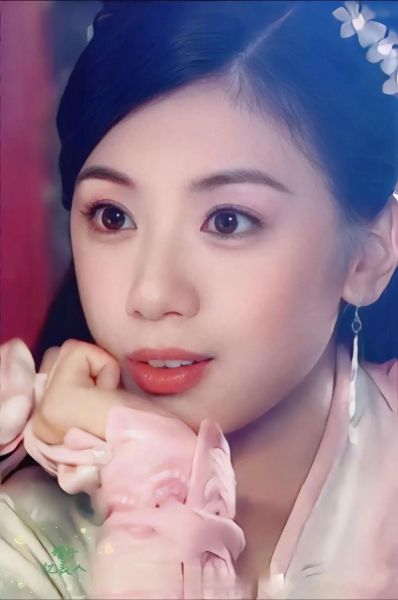 贾静雯的生肖属相（贾静雯属什么生肖）