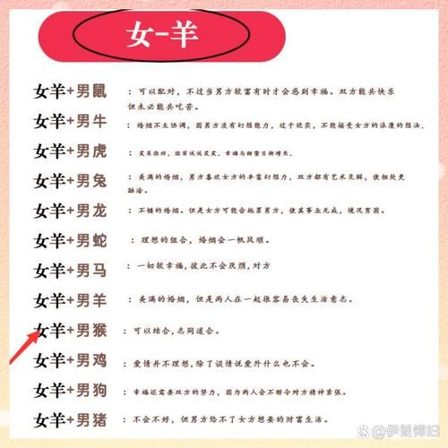 生肖羊配对最佳属相女生（生肖羊女和什么属相最配）