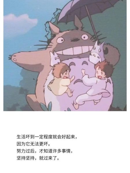 龙猫大夫生肖属相（龙猫大夫生肖属相到底是什么）