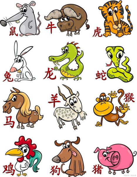 认识生肖属相的软件（认识生肖属相的软件叫什么🧐）
