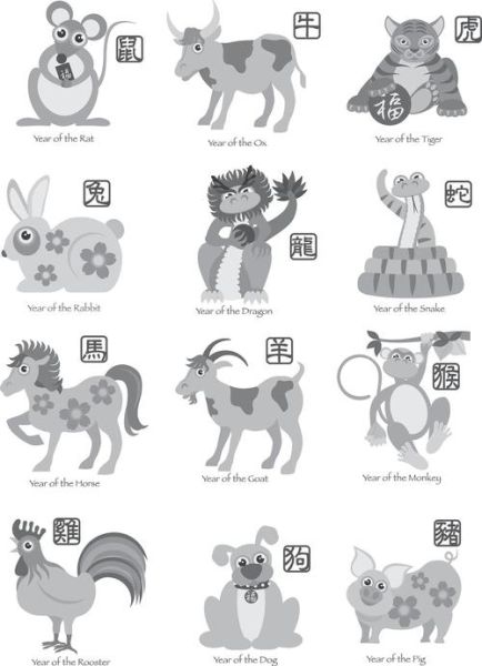 猜属相的是什么生肖（猜属相的是什么生肖 新手也能秒懂）