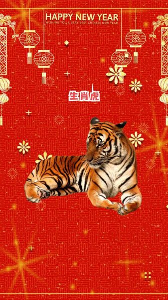 虎宝父母生肖属相（虎宝父母什么属相最旺🔥）