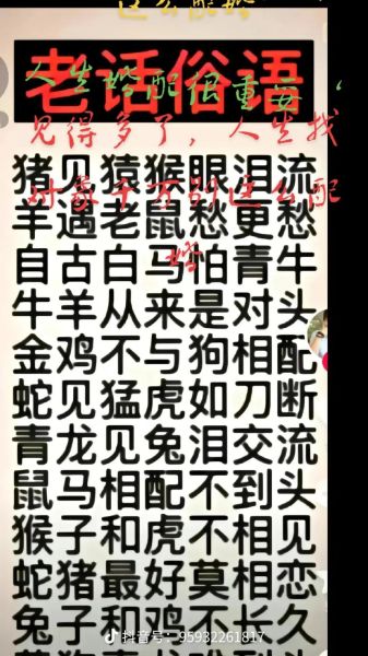 生肖属相相关俗语（鼠牛虎兔顺口溜完整版）