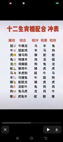 属相十二生肖顺序表图（十二生肖顺序图新手一分钟看懂版）