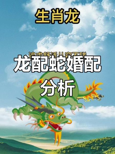 龙和龙的生肖配置属相（龙跟龙属相合不合婚？真相来了）