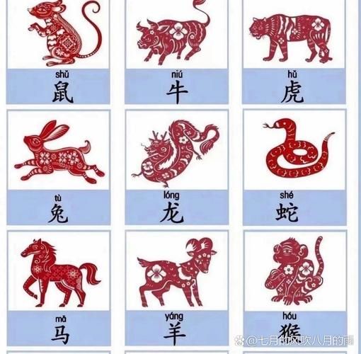 1943属相什么生肖（1943年属什么生肖）