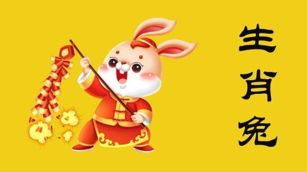 飞飞属相生肖（飞飞属什么生肖：属兔🐰）