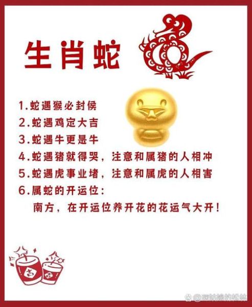 蛇属相戰猜生肖(蛇属相最准生肖配对查询)