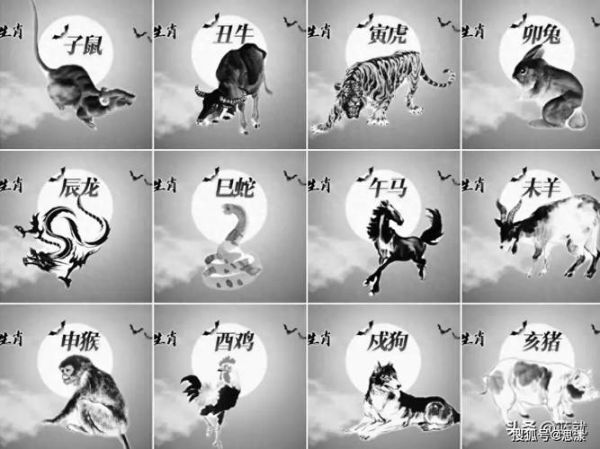 十二生肖的第七个属相（十二生肖第七个属相是什么？新手秒懂！）