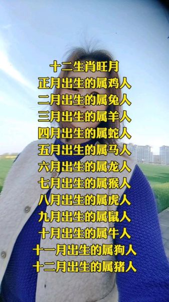 阿月月生肖属相（阿月月属什么生肖？新人秒懂篇）