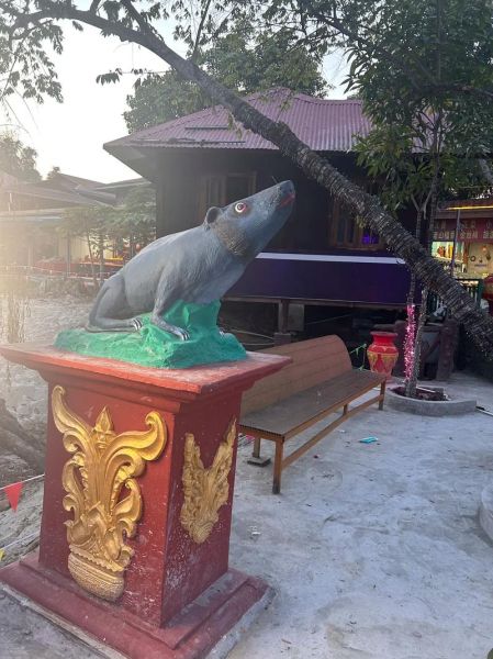 缅甸生肖属相有哪些（缅甸生肖属相对照表）