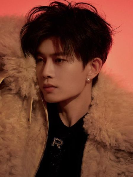 任嘉属相是什么生肖(任嘉属相是什么生肖?新手秒懂速查😺)