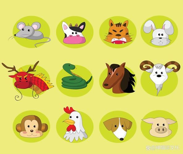 12生肖属相颜色