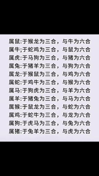 狗和龙生肖匹配吗属相