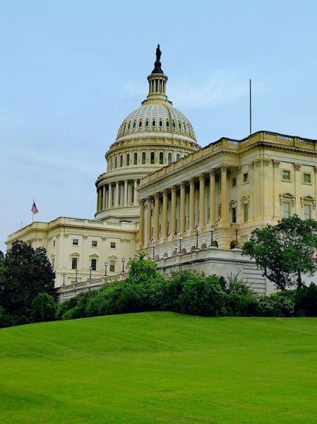 华盛顿属相属什么生肖（华盛顿属什么生肖？生肖谜团大揭秘）