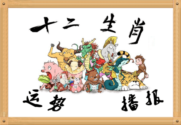 12生肖那个属相大丰收（12生肖谁最能“大丰收”🐷）