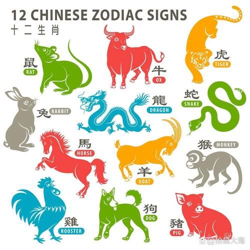 有灵性的生肖属相（有灵性的生肖属相排行）