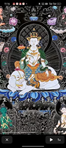 甲辰属什么生肖属相(甲辰属什么生肖属相?)