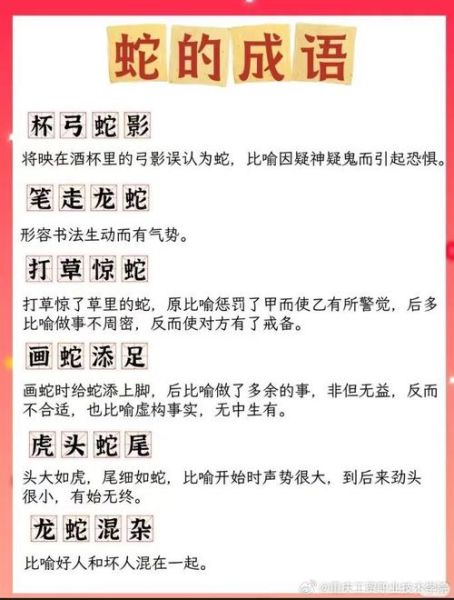 生肖大属相蛇（生肖蛇为何被称大属相🐍）
