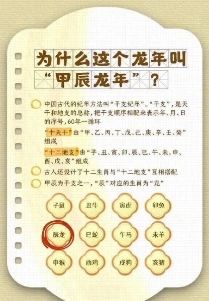 生肖龙的属相解析（2024属龙运气解析及旺运指南）