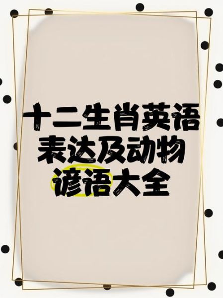 懂英文的生肖是什么属相（懂英文的生肖属相是什么生肖）