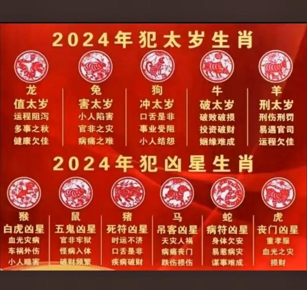 阿清属什么生肖属相（阿清属什么生肖）