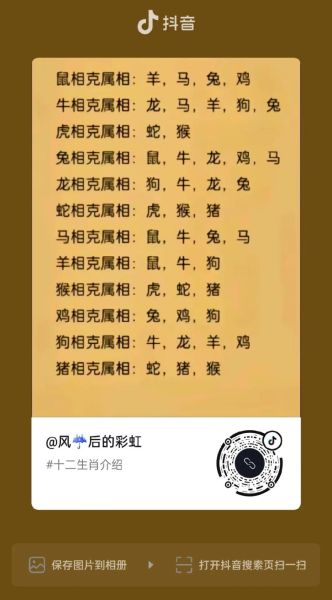 生肖狗和鸡属相（狗和鸡属相相合吗？新手最全解读）