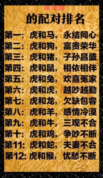 生肖牛和生肖虎属相合吗（生肖牛和虎婚配合吗👫）