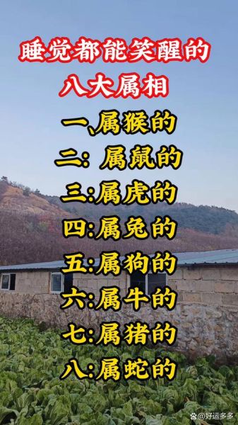 毛姓是什么生肖属相（毛姓属什么生肖？最全解析在这📊📈）