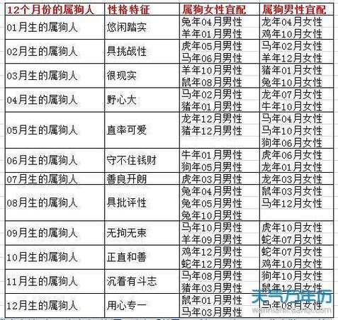 生肖狗最配哪个属相（属狗的最佳婚配属相解析）