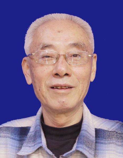 陈柏是什么生肖属相（陈柏是什么生肖属相答案）