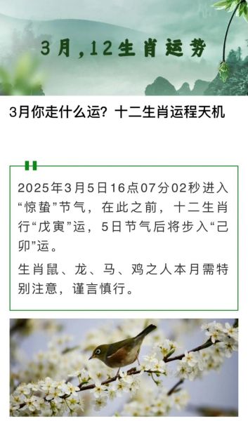 属相运势2019年生肖运程每月（2019年生肖每月运势大全）