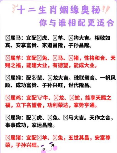 生肖属相最合（属相配对大全表：谁最容易旺另一半？）