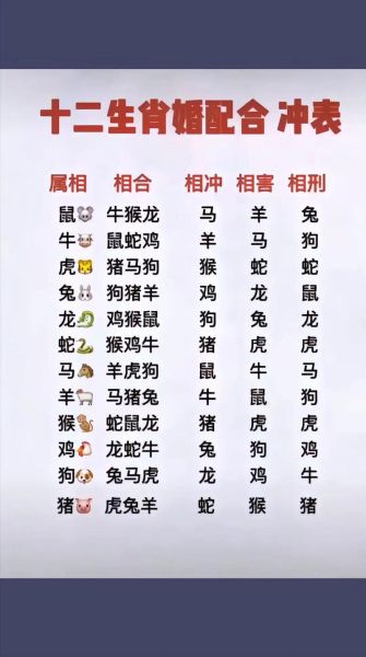 最绝配的生肖属相（最绝配的生肖属相是哪一对）