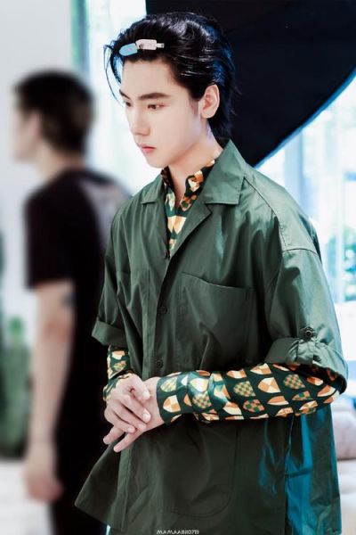 王子异属相生肖（王子异生肖属相是什么？粉丝都在追问）