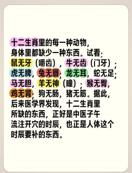 属相十二生肖的牙（十二生肖牙齿特征揭秘🦷）