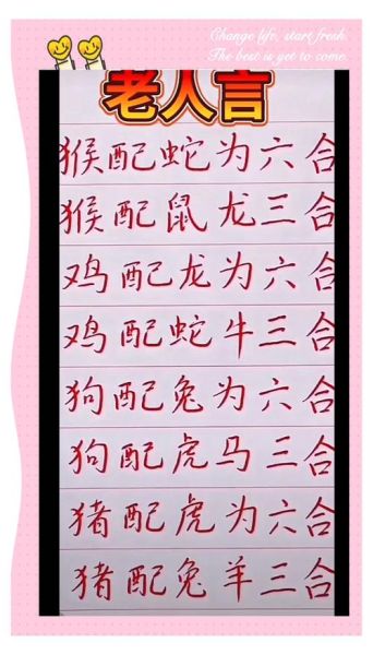 生肖相冲的属相配对（生肖相冲的属相配对指南）