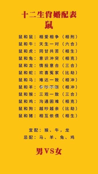 生肖鼠婚配属相表（属鼠婚配最佳属相是什么？）