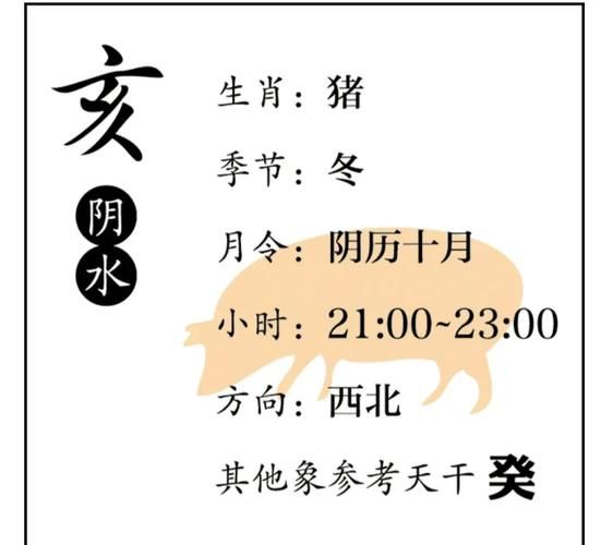 生肖猪的女生属相（生肖猪的女生属相性格与运势全解析）