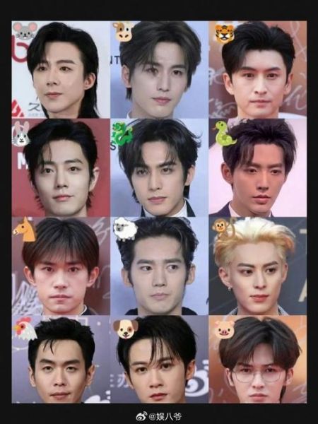 明星有几个生肖属相（明星生肖对照表查询）