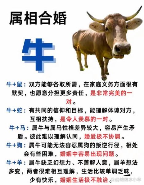 生肖牛是什么属相的克星（生肖牛最怕的三个生肖是谁）