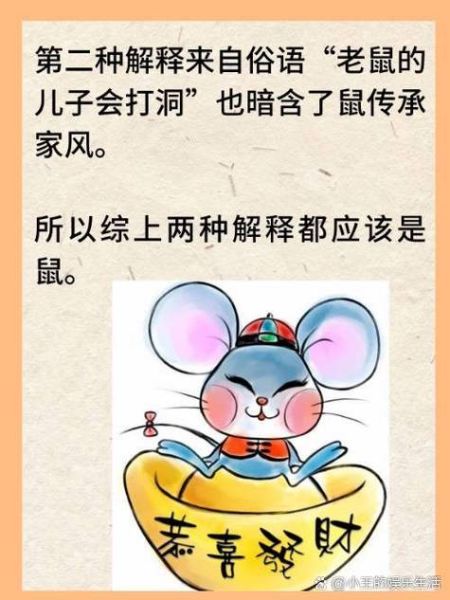 虹字最佳生肖属相（虹字最佳生肖属相是什么）