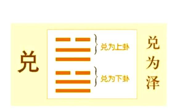 兑卦是什么生肖属相的（兑卦生肖到底是哪个？）